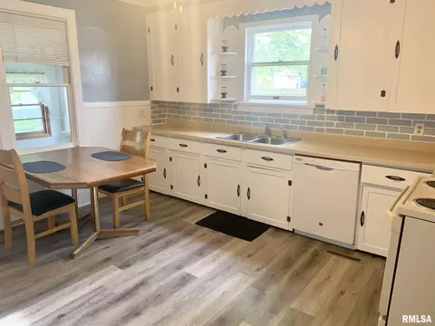 1007 13th Ave, Fulton, IL 61252 photo 9