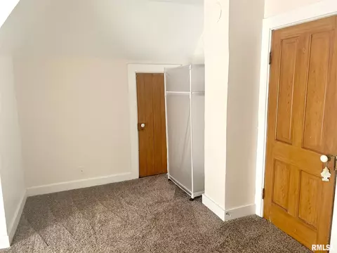1007 13th Ave, Fulton, IL 61252 photo 29