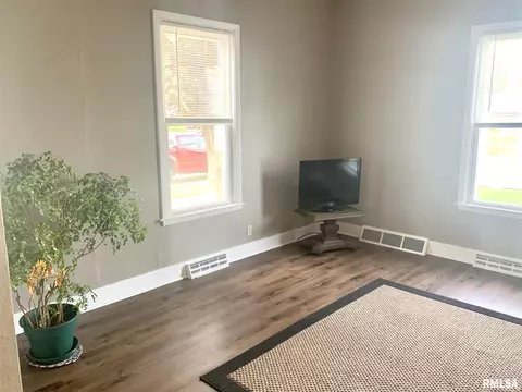 1007 13th Ave, Fulton, IL 61252 photo 6