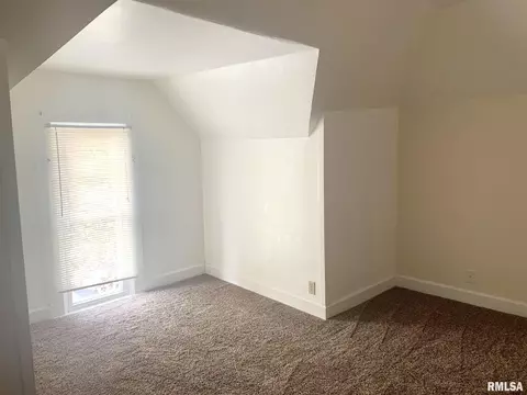 1007 13th Ave, Fulton, IL 61252 photo 30