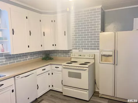 1007 13th Ave, Fulton, IL 61252 photo 12
