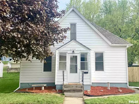 1007 13th Ave, Fulton, IL 61252 photo 2