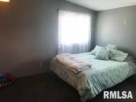 316 E Mcclure St, Kewanee, IL 61443 photo 16