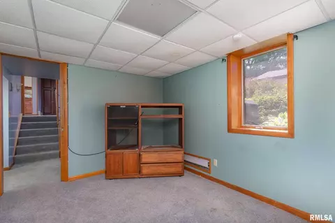 404 Cedar St, Andover, IL 61233 photo 27