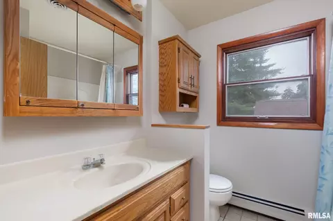 404 Cedar St, Andover, IL 61233 photo 24