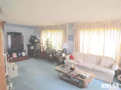 8910 E 2700th Ave, Kewanee, IL 61443 photo 22