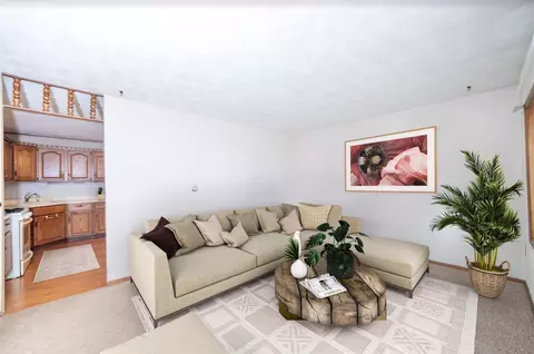 802 3rd Ave E, Milan, IL 61264 photo 3