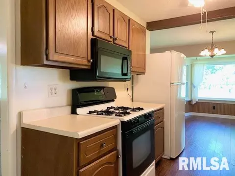 406 Meltzer Ave, Walnut, IL 61376 photo 9