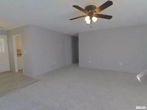1009 40th St, Moline, IL 61265 photo 15