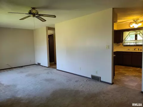 417 8th Ave, Fulton, IL 61252 photo 5