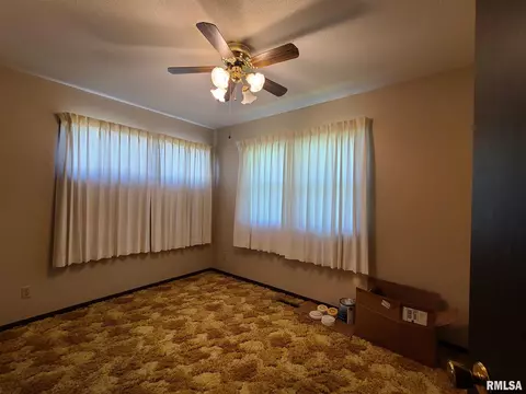 417 8th Ave, Fulton, IL 61252 photo 9