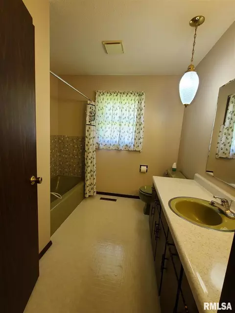 417 8th Ave, Fulton, IL 61252 photo 10