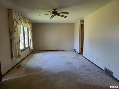 417 8th Ave, Fulton, IL 61252 photo 4