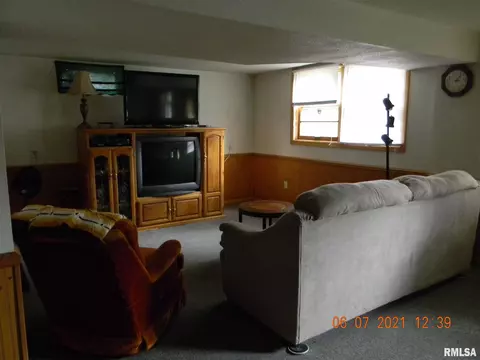 1311 4th St, Orion, IL 61273 photo 20
