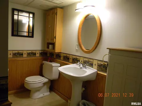 1311 4th St, Orion, IL 61273 photo 19