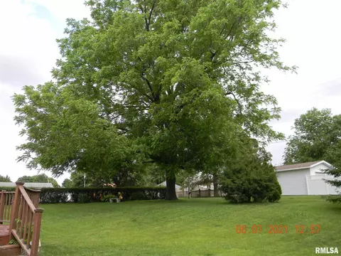 1311 4th St, Orion, IL 61273 photo 28