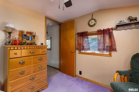 203 W B St, Alpha, IL 61413 photo 20
