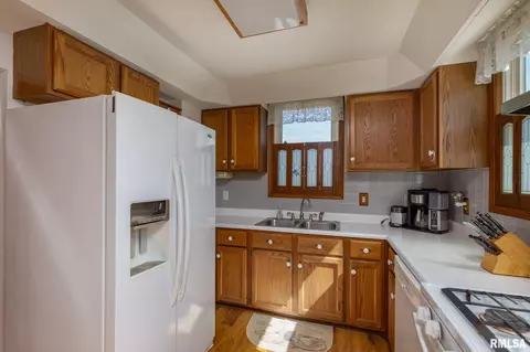 203 W B St, Alpha, IL 61413 photo 14
