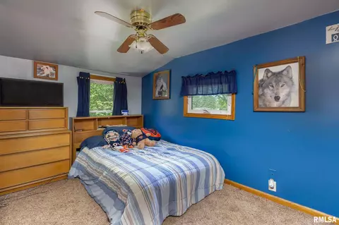203 W B St, Alpha, IL 61413 photo 17