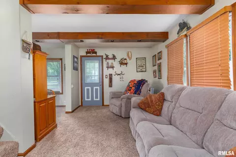 203 W B St, Alpha, IL 61413 photo 9
