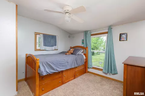 203 W B St, Alpha, IL 61413 photo 23