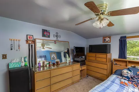 203 W B St, Alpha, IL 61413 photo 19