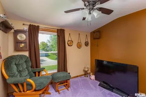 203 W B St, Alpha, IL 61413 photo 21