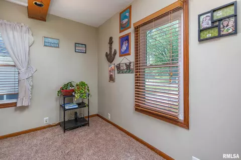 203 W B St, Alpha, IL 61413 photo 5