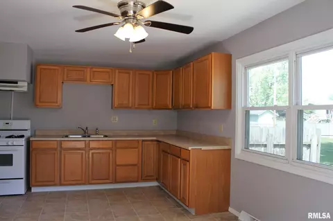 813 E 4th Ave, Milan, IL 61264 photo 9