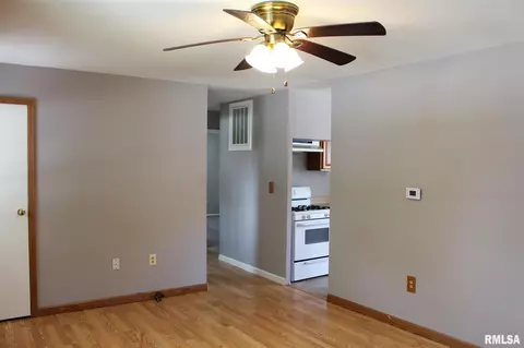 813 E 4th Ave, Milan, IL 61264 photo 5