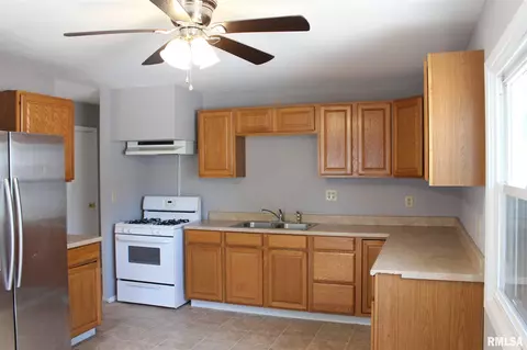 813 E 4th Ave, Milan, IL 61264 photo 10