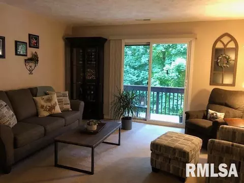 19 Cherry Hill Ct, Hampton, IL 61256 photo 5