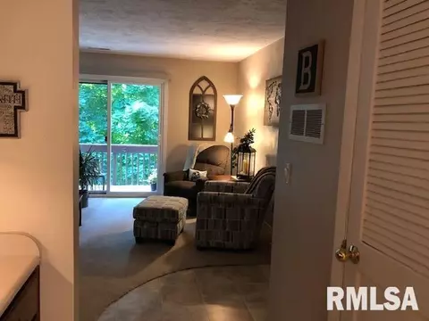 19 Cherry Hill Ct, Hampton, IL 61256 photo 4