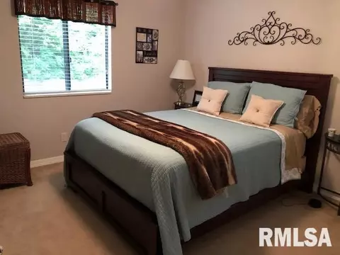 19 Cherry Hill Ct, Hampton, IL 61256 photo 7