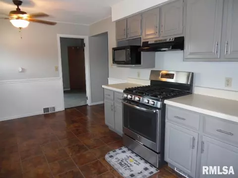 1226 11th Ave, Fulton, IL 61252 photo 4