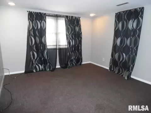 1226 11th Ave, Fulton, IL 61252 photo 11