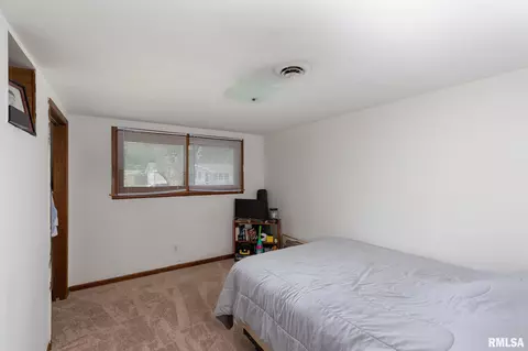607 14th Ave, Hampton, IL 61256 photo 11