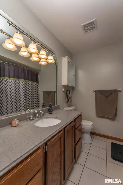 2931 130th Ave, Viola, IL 61486 photo 20