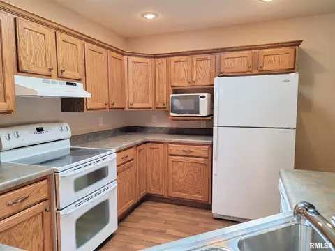 505 Hamilton St, Atkinson, IL 61235 photo 11