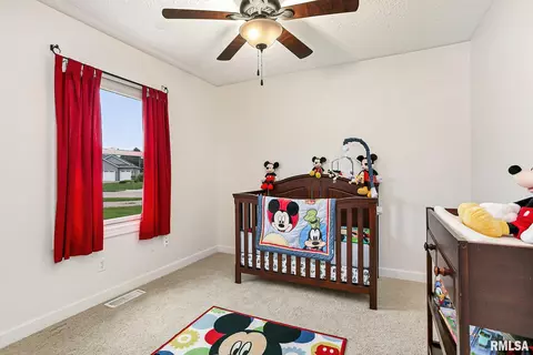 917 17th Ave, Silvis, IL 61282 photo 15