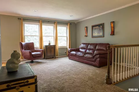 5311 17th Ave, Moline, IL 61265 photo 4