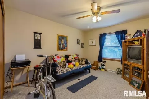 116 E 7th St, Dewitt, IA 52742 photo 18