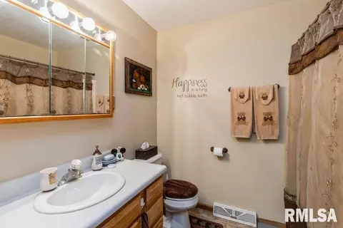 116 E 7th St, Dewitt, IA 52742 photo 19