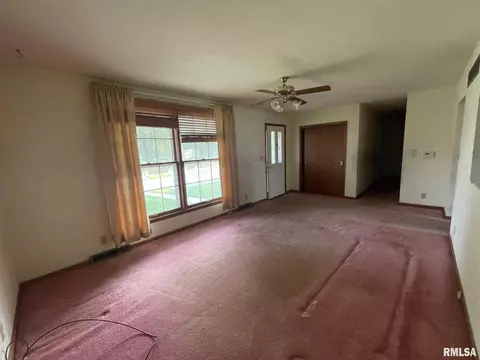 320 4th Ave E, Milan, IL 61264 photo 13