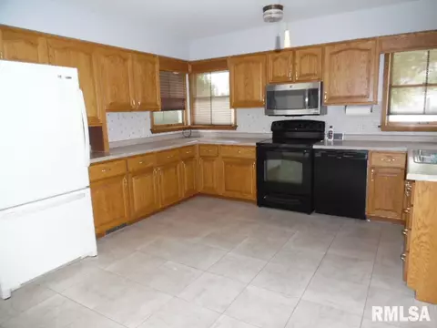 1101 3rd Ave, Fulton, IL 61252 photo 3