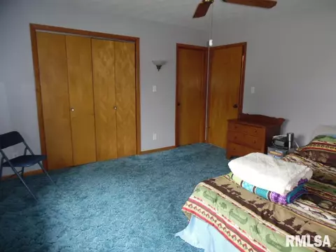1101 3rd Ave, Fulton, IL 61252 photo 6