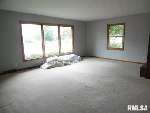1101 3rd Ave, Fulton, IL 61252 photo 2