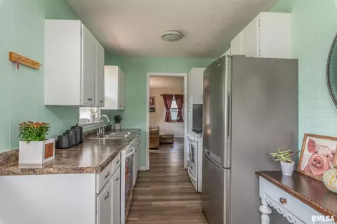 315 E 14th Ave, Milan, IL 61264 photo 9