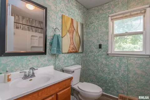 315 E 14th Ave, Milan, IL 61264 photo 13
