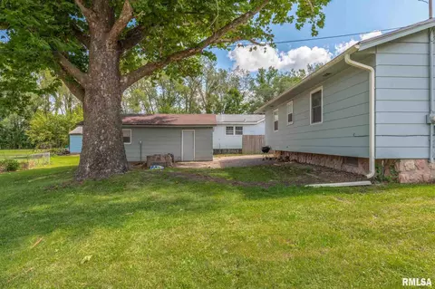 315 E 14th Ave, Milan, IL 61264 photo 4